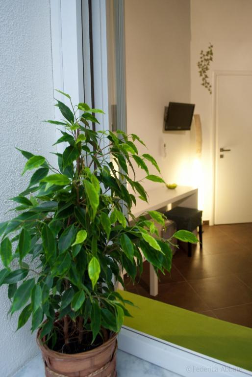 パレルモ B＆B カレッラ Bed & Breakfast 部屋 写真